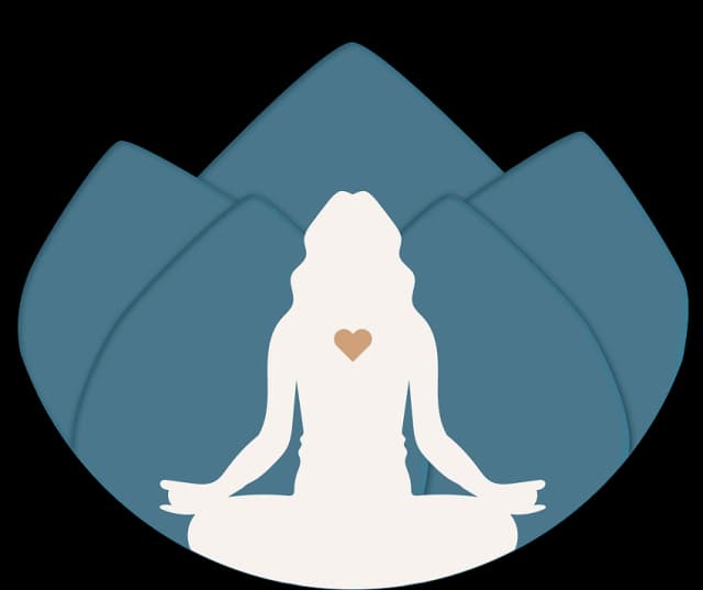 Bliss body: Anandamaya