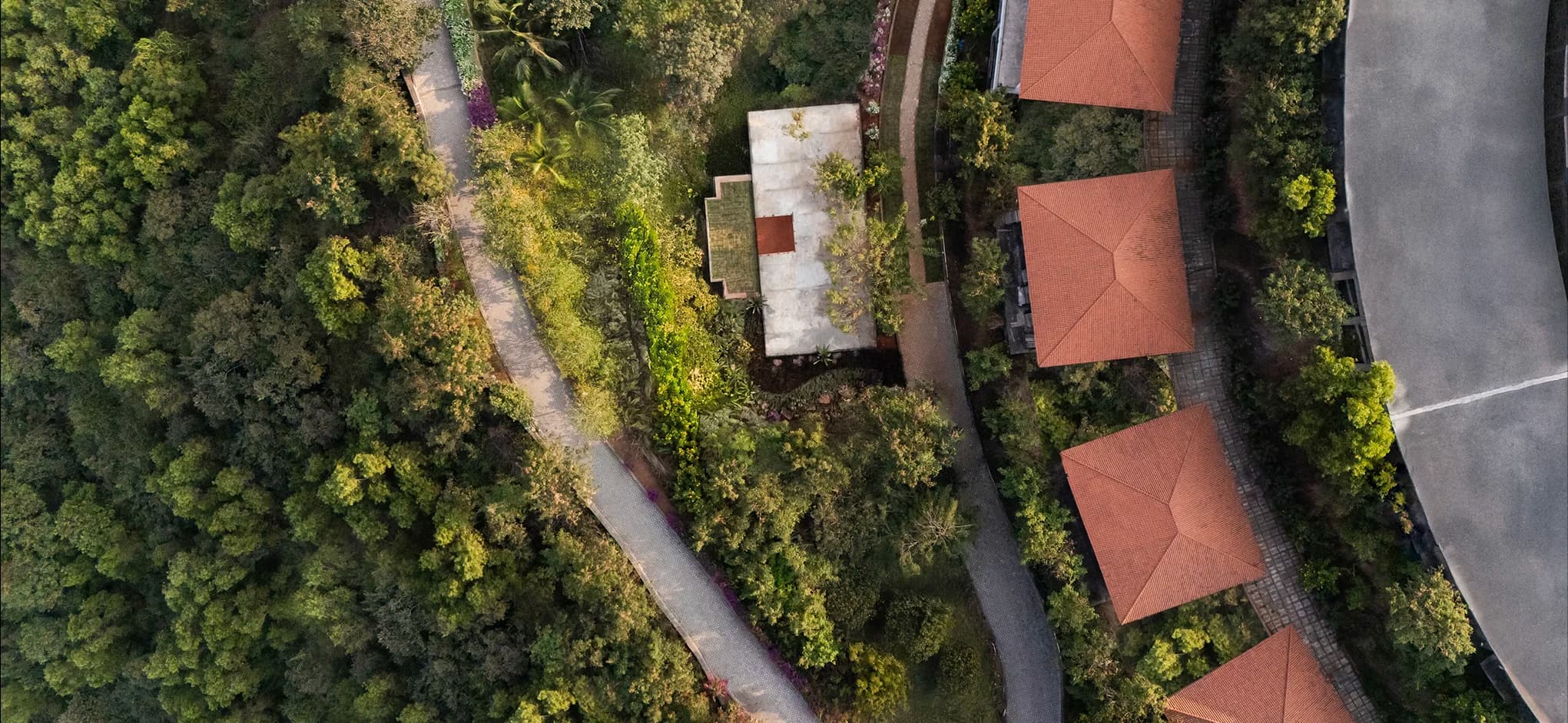 wellbeing-banner-home