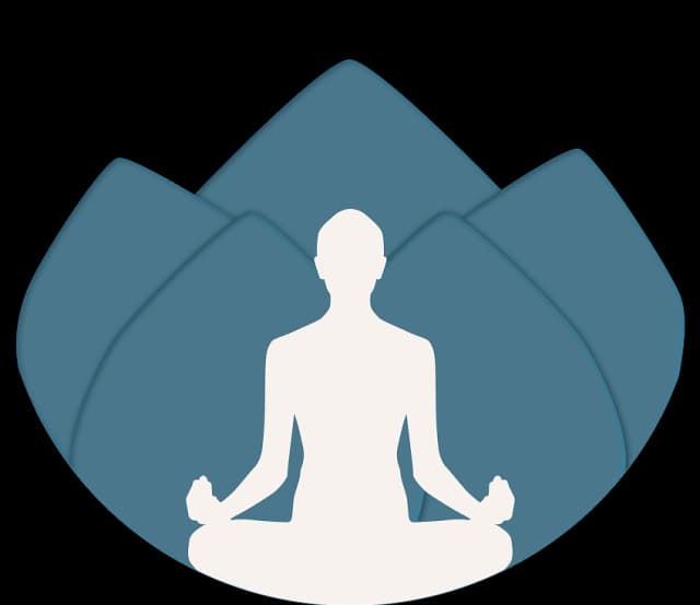 Energy body: Pranamaya