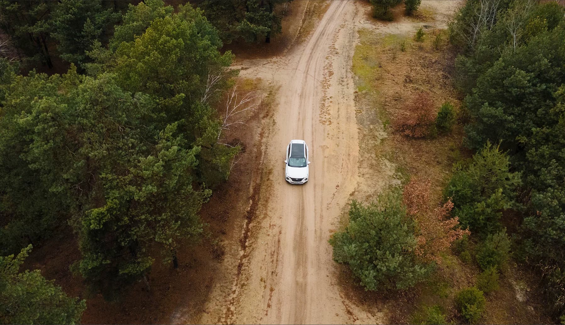 medical-health-program-banner-home